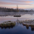 Svítání na Chalupské