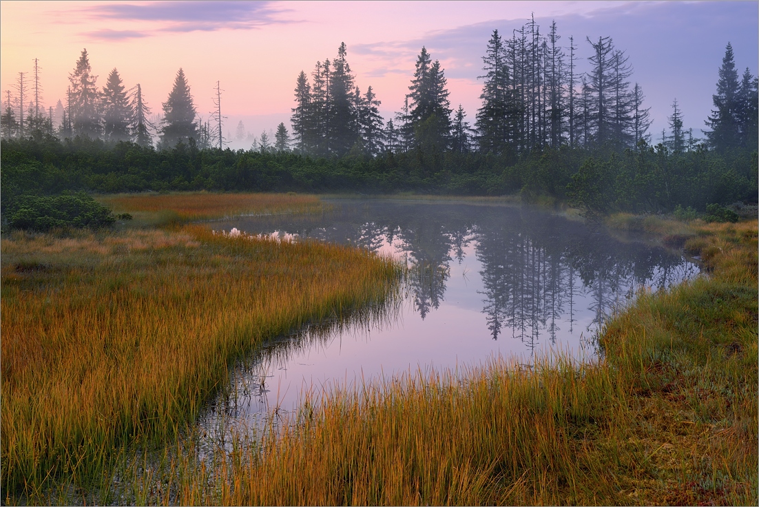 Svítání na Rokytské slati